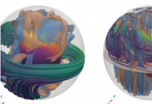 新生中子星內部對流區(qū)中磁場線的3D快照
