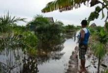 研究表明 土地用途的變化導致印尼洪災(zāi)增加
