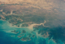 NASA首次使用超級計算機(jī)和AI從太空算起地球的樹木