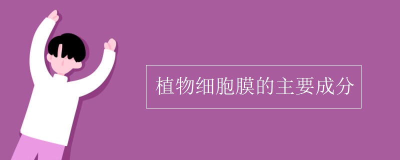 植物細(xì)胞膜的主要成分