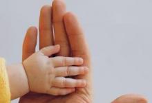 如何在促進幼兒語音發(fā)展的多種手段