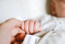 如何去探索科學認讀之情趣妙法
