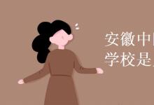 教育資訊：安徽中醫(yī)藥高等?？茖W校是幾本