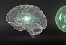 研究人員創(chuàng)造了一種將活細胞置于體內并受到監(jiān)視的方法