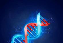 日常生活：dna分子是什么結(jié)構