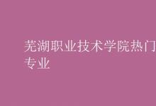 教育資訊:蕪湖職業(yè)技術學院熱門專業(yè)