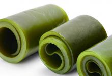 噴火恐龍簡(jiǎn)筆畫