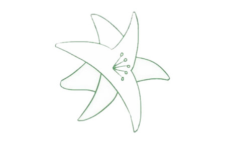 母親節(jié)百合花簡(jiǎn)筆畫3
