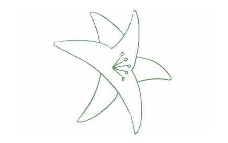 母親節(jié)百合花簡(jiǎn)筆畫2