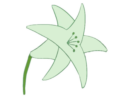 母親節(jié)百合花簡(jiǎn)筆畫4