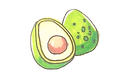 牛油果簡(jiǎn)筆畫(huà)彩色4