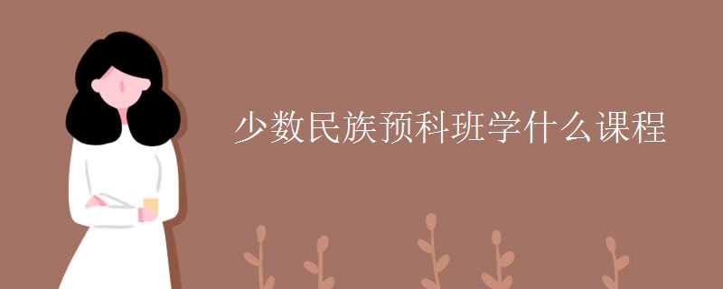 少數(shù)民族預(yù)科班學什么課程