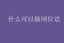 教育資訊:什么可以做同位語(yǔ)