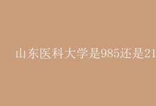 教育資訊:山東醫(yī)科大學是985還是211