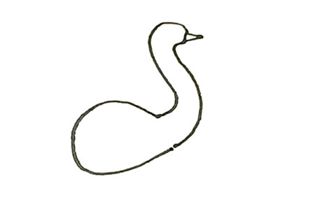 鴕鳥彩色簡(jiǎn)筆畫的畫法2