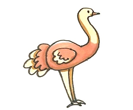 鴕鳥彩色簡(jiǎn)筆畫的畫法4