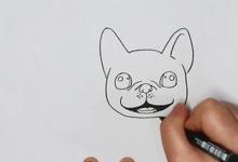 如何畫法國(guó)斗牛犬簡(jiǎn)筆畫？