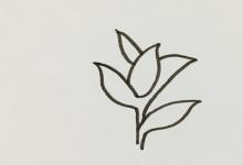 茶樹如何畫簡筆畫？