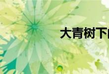 大青樹(shù)下的小學(xué)簡(jiǎn)筆畫(huà)