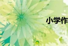 小學(xué)作文怎么寫？