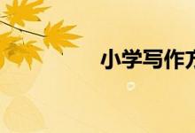 小學(xué)寫作方法有哪幾種？