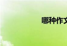 哪種作文類型好寫？