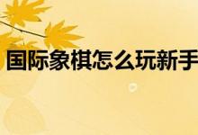 國(guó)際象棋怎么玩新手入門(mén)（國(guó)際象棋怎么玩）