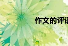作文的評(píng)語(yǔ)應(yīng)該怎樣寫？