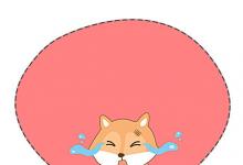 詞語(yǔ)解釋：弱冠之年的意思是什么