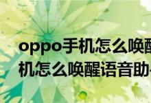 oppo手機(jī)怎么喚醒語音助手改名（oppo手機(jī)怎么喚醒語音助手）