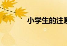 小學(xué)生的注意力有哪些特點(diǎn)？