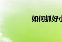 如何抓好小學(xué)生的學(xué)習(xí)？