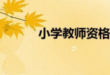 小學教師資格報考條件是什么？