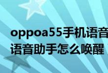 oppoa55手機(jī)語(yǔ)音助手怎么喚醒（oppoa55語(yǔ)音助手怎么喚醒）
