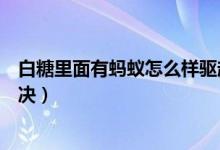 白糖里面有螞蟻怎么樣驅(qū)趕（白糖里面有螞蟻有什么辦法解決）