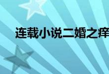 連載小說二婚之癢（小說二婚之癢簡(jiǎn)介）