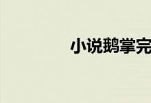 小說(shuō)鵝掌完結(jié)（小說(shuō)鵝掌）