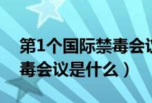 第1個(gè)國(guó)際禁毒會(huì)議是在哪里(第1個(gè)國(guó)際禁毒會(huì)議是什么)
