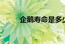 企鵝壽命是多少?。ㄆ簌Z的壽命）