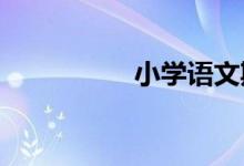 小學(xué)語文期末復(fù)習(xí)建議