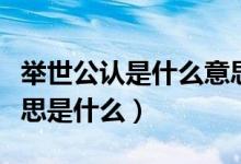 舉世公認(rèn)是什么意思簡(jiǎn)單說(shuō)法（舉世公認(rèn)的意思是什么）