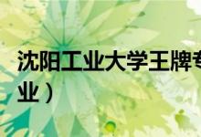 沈陽工業(yè)大學(xué)王牌專業(yè)是什么（有哪些優(yōu)勢(shì)專業(yè)）