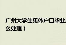 廣州大學(xué)生集體戶口畢業(yè)后怎么辦(大學(xué)集體戶口畢業(yè)后怎么處理)