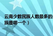 云南少數(shù)民族人數(shù)最多的是什么族(云南人口最多的少數(shù)民族是哪一個)