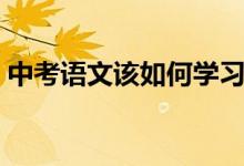 中考語文該如何學(xué)習(xí)（中考語文該如何學(xué)習(xí)）