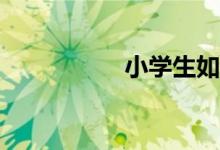 小學(xué)生如何學(xué)好數(shù)學(xué)？