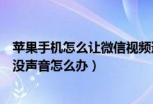 蘋果手機(jī)怎么讓微信視頻通話沒聲（蘋果手機(jī)微信視頻通話沒聲音怎么辦）