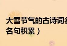 大雪節(jié)氣的古詩(shī)詞名句有哪些(大雪節(jié)氣詩(shī)詞名句積累)