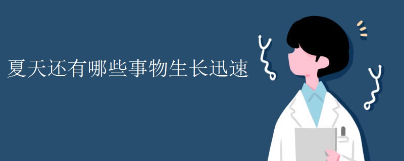 夏天還有哪些事物生長(zhǎng)迅速