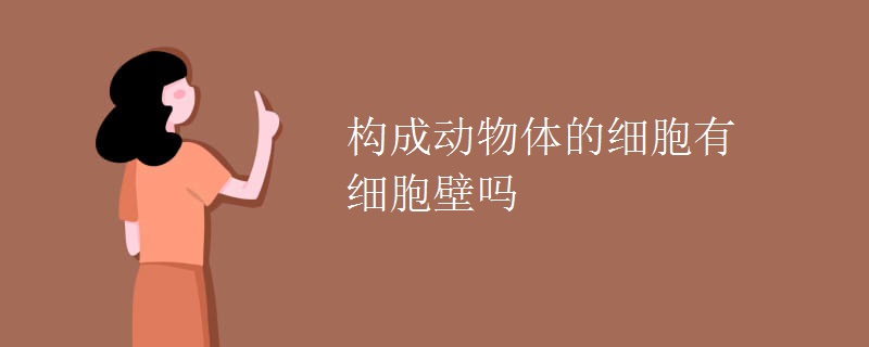 構(gòu)成動物體的細胞有細胞壁嗎